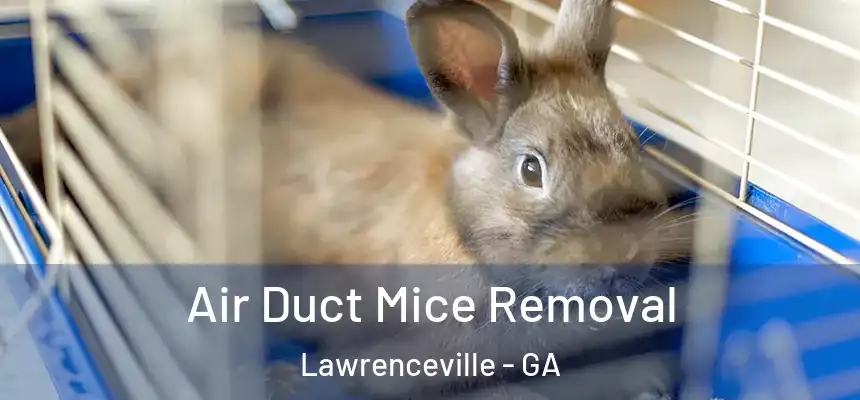  Air Duct Mice Removal Lawrenceville - GA