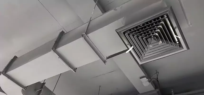 Restorative Allergy Relief Vent Cleaning – Coil, Blower & Housing Detail in Lawrenceville