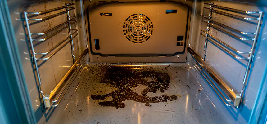 Our Dryer Vent Mold Cleaning Services in Lawrenceville, GA