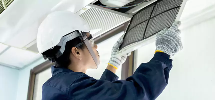 Our Mold & Mildew Removal from Air Ducts Services in Lawrenceville, GA