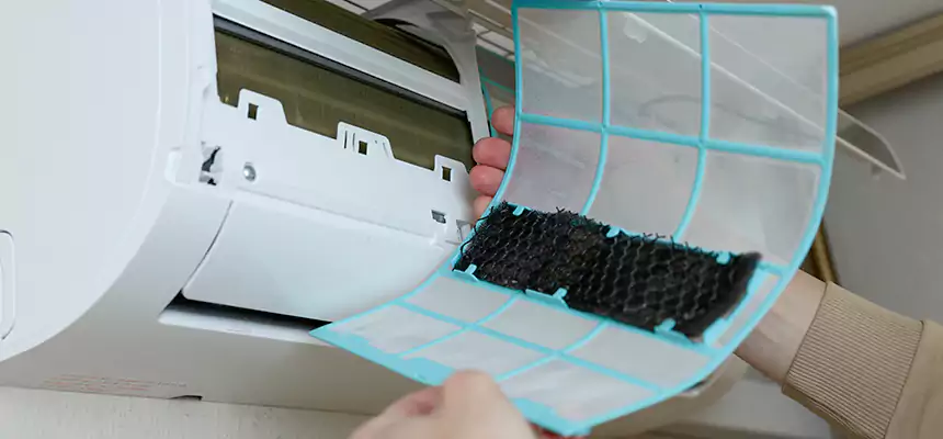 Gentle Ductwork Odor-Control Pet Dander Duct Cleaning in Lawrenceville, GA