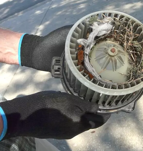 About Air Duct Mice Removal in Lawrenceville, GA