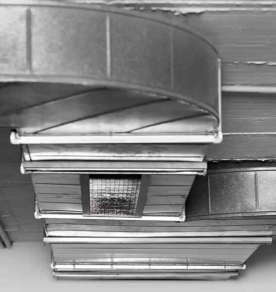 Professional Air Duct Pest Removal in Lawrenceville, GA