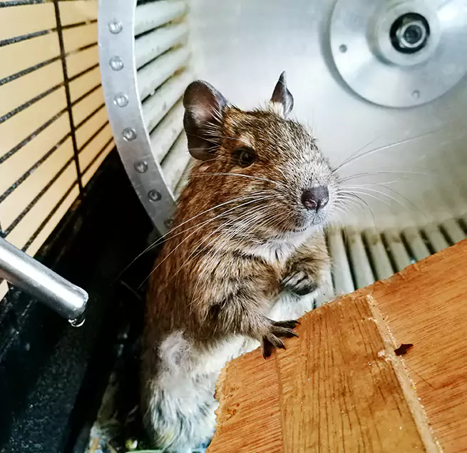 Why Homeowners & Businesses Trust Us Lawrenceville, GA?